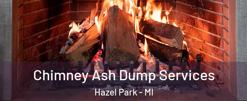 Chimney Ash Dump Services Hazel Park - MI