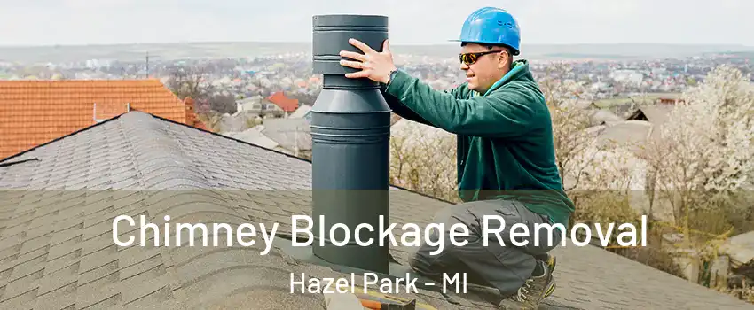  Chimney Blockage Removal Hazel Park - MI