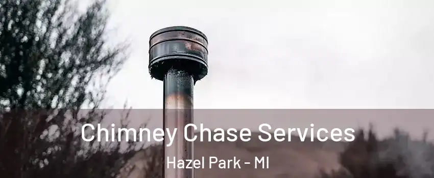  Chimney Chase Services Hazel Park - MI