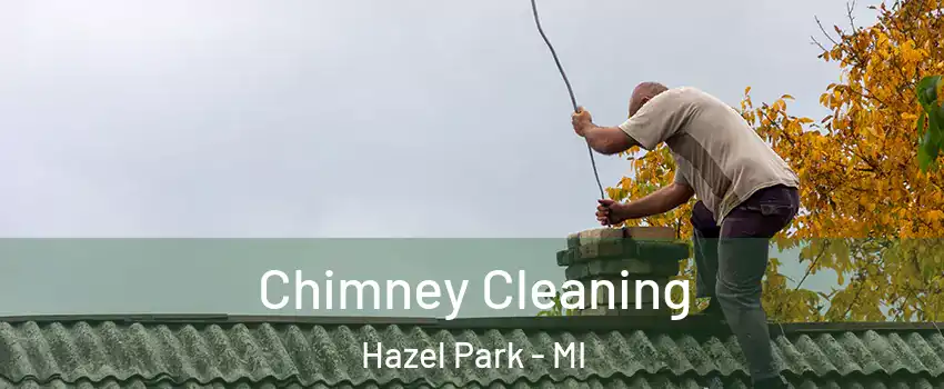  Chimney Cleaning Hazel Park - MI