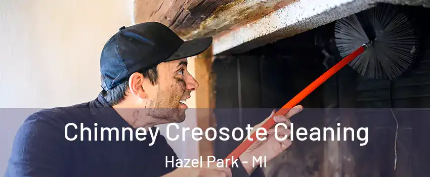  Chimney Creosote Cleaning Hazel Park - MI