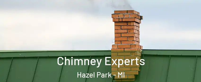  Chimney Experts Hazel Park - MI