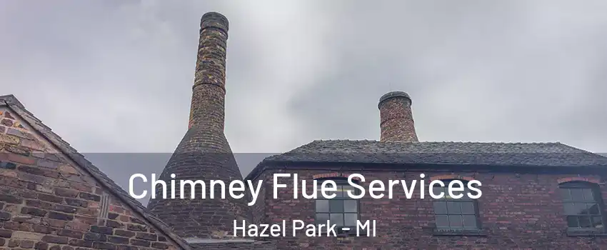  Chimney Flue Services Hazel Park - MI