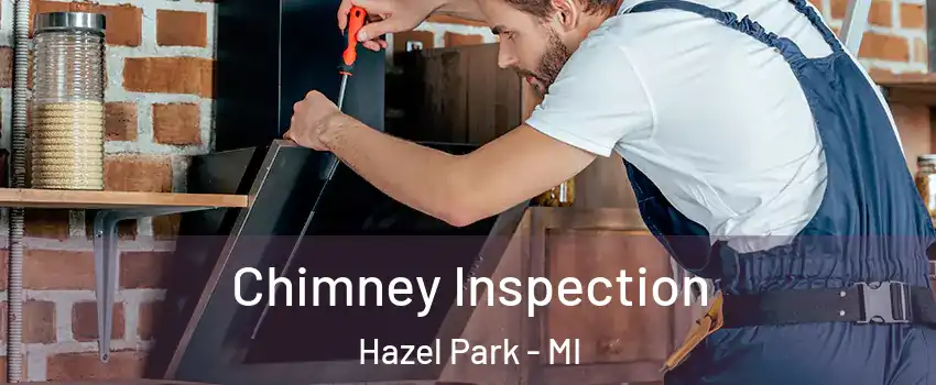  Chimney Inspection Hazel Park - MI