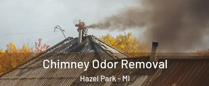  Chimney Odor Removal Hazel Park - MI