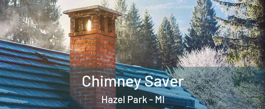  Chimney Saver Hazel Park - MI