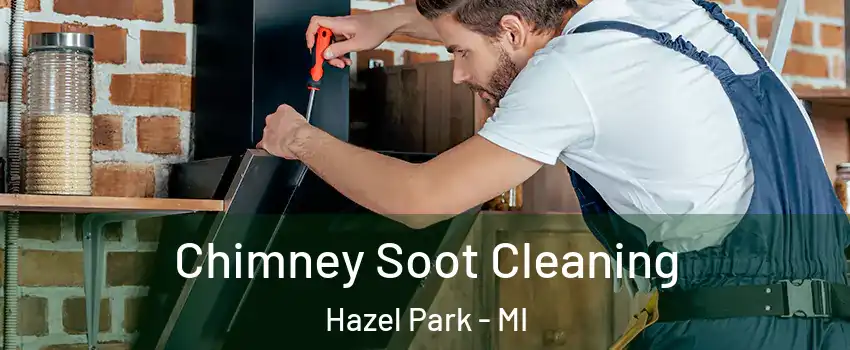  Chimney Soot Cleaning Hazel Park - MI