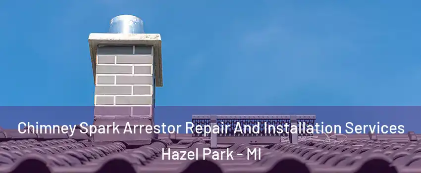  Chimney Spark Arrestor Repair And Installation Services Hazel Park - MI