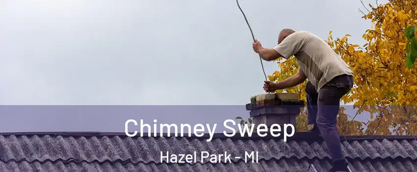 Chimney Sweep Hazel Park - MI