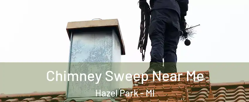  Chimney Sweep Near Me Hazel Park - MI