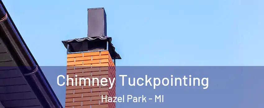 Chimney Tuckpointing Hazel Park - MI