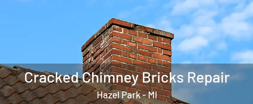  Cracked Chimney Bricks Repair Hazel Park - MI