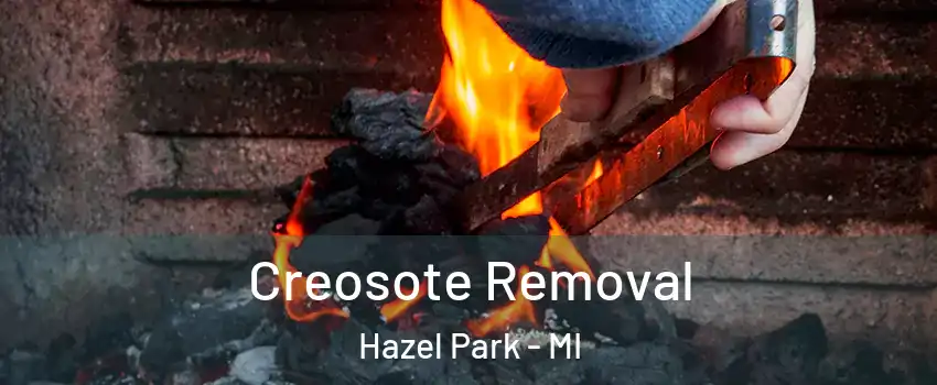  Creosote Removal Hazel Park - MI