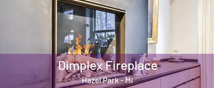  Dimplex Fireplace Hazel Park - MI