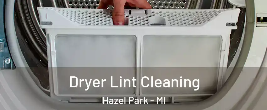  Dryer Lint Cleaning Hazel Park - MI