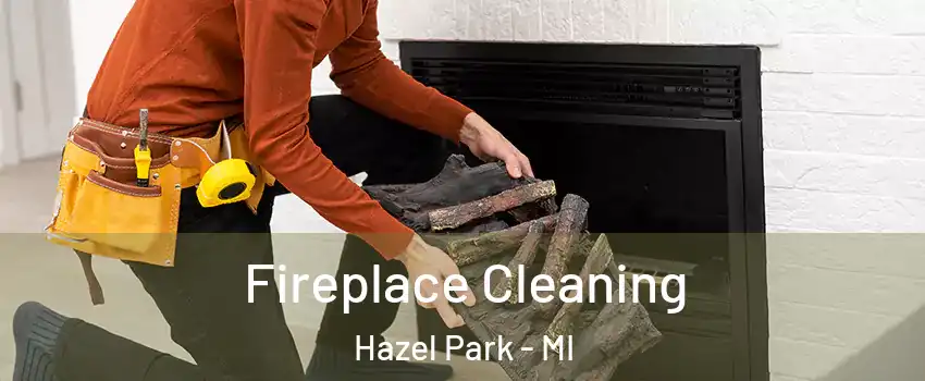  Fireplace Cleaning Hazel Park - MI