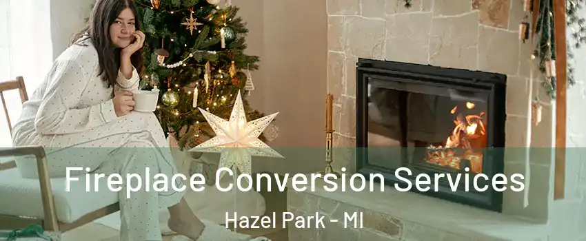  Fireplace Conversion Services Hazel Park - MI