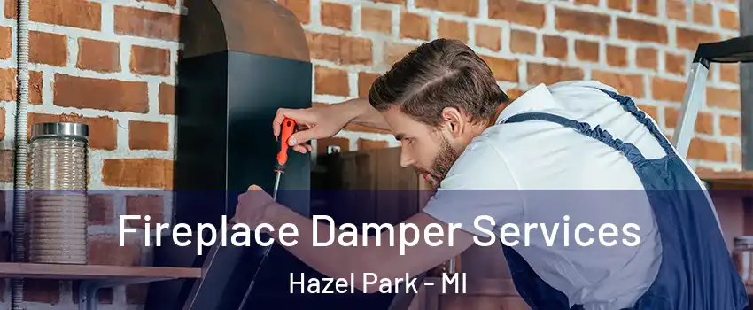  Fireplace Damper Services Hazel Park - MI