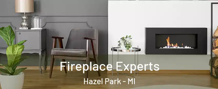  Fireplace Experts Hazel Park - MI
