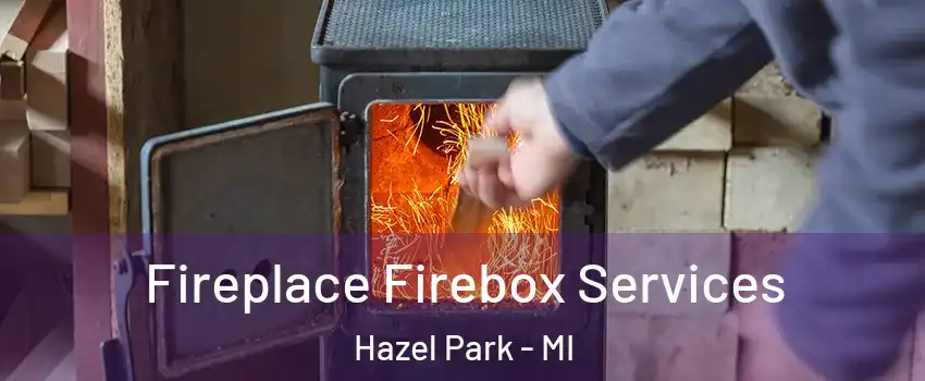  Fireplace Firebox Services Hazel Park - MI