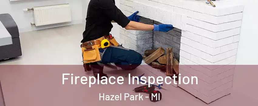  Fireplace Inspection Hazel Park - MI