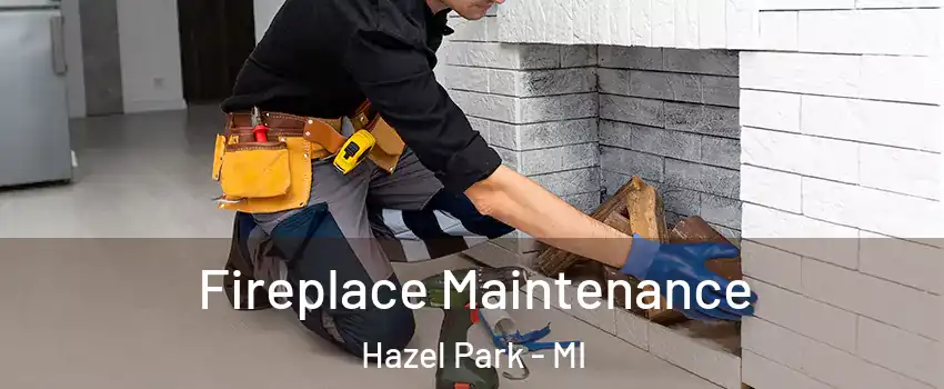 Fireplace Maintenance Hazel Park - MI