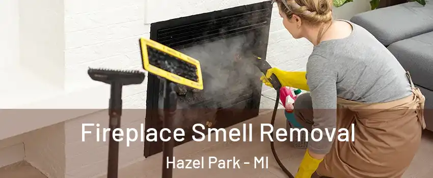  Fireplace Smell Removal Hazel Park - MI