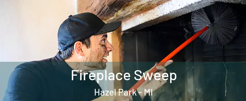  Fireplace Sweep Hazel Park - MI