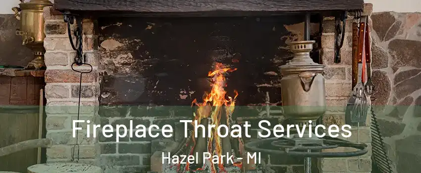  Fireplace Throat Services Hazel Park - MI