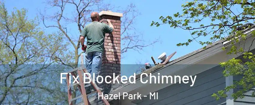  Fix Blocked Chimney Hazel Park - MI