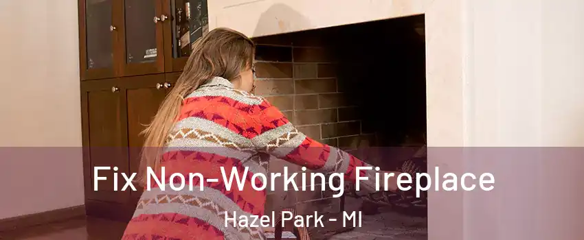  Fix Non-Working Fireplace Hazel Park - MI