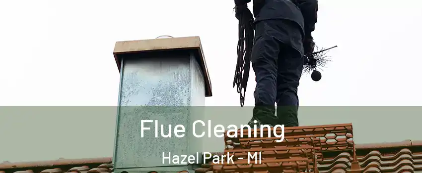  Flue Cleaning Hazel Park - MI