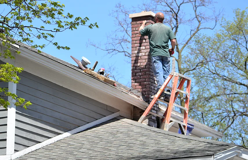 Chimney & Fireplace Inspections Services in Hazel Park, MI