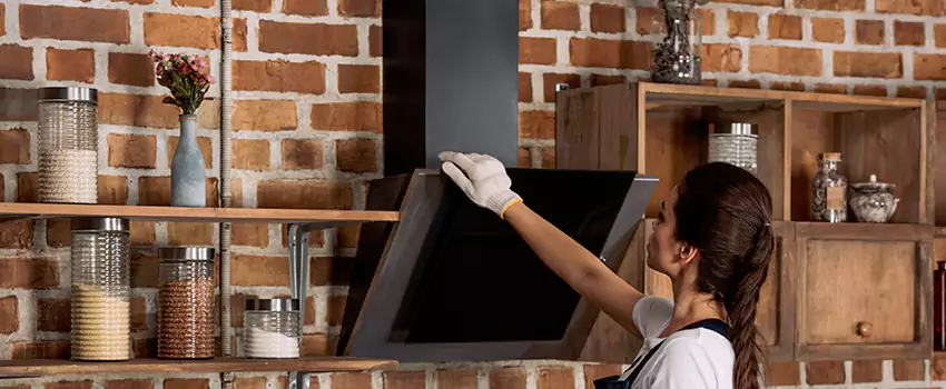 Chimney Installation in Hazel Park, MI