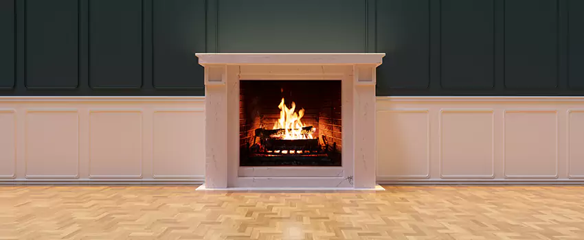 Napoleon Electric Fireplaces Inspection Service in Hazel Park, Michigan