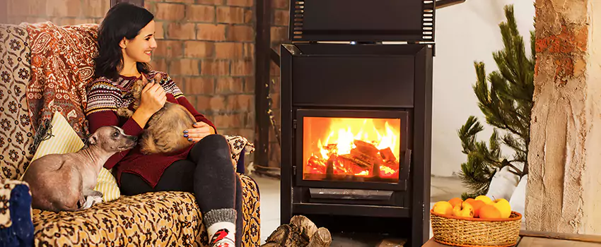 Wood Stove Chimney Cleaning Services in Hazel Park, MI