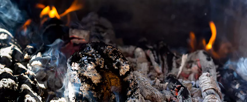 Creosote Removal Experts in Hazel Park, MI