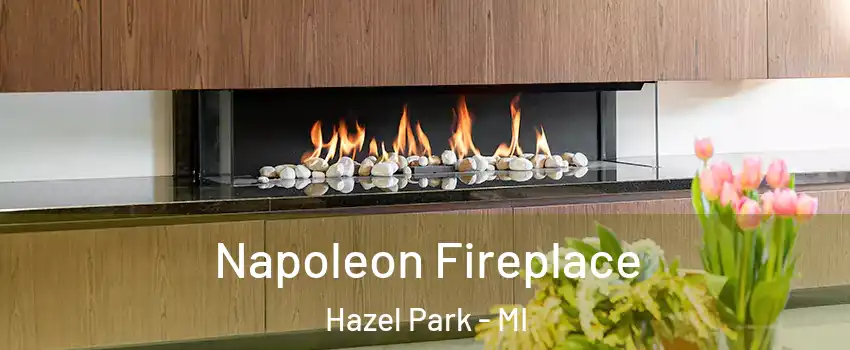 Napoleon Fireplace Hazel Park - MI