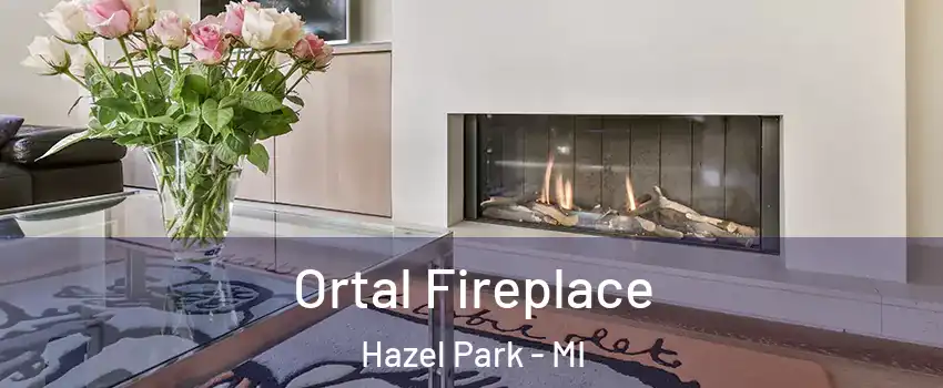  Ortal Fireplace Hazel Park - MI