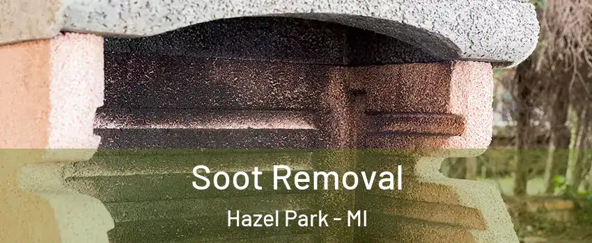  Soot Removal Hazel Park - MI