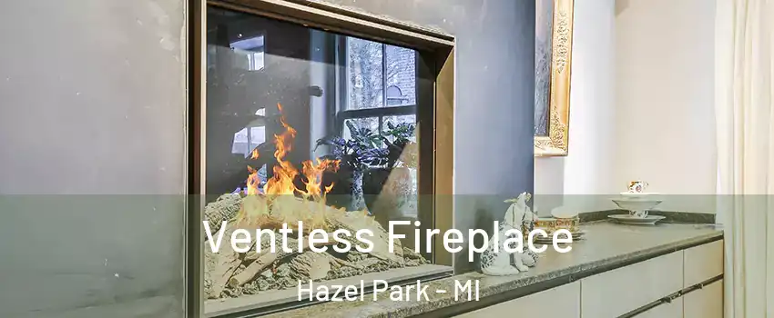  Ventless Fireplace Hazel Park - MI