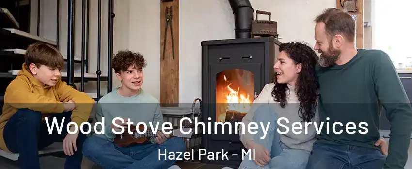  Wood Stove Chimney Services Hazel Park - MI