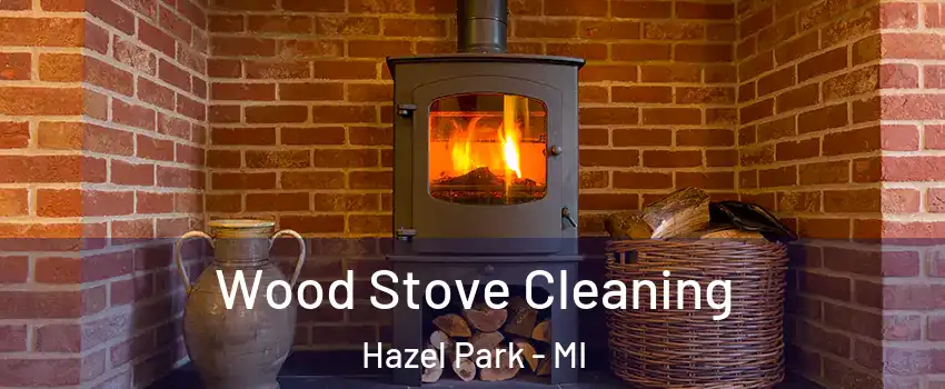  Wood Stove Cleaning Hazel Park - MI