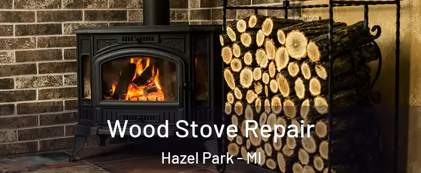  Wood Stove Repair Hazel Park - MI